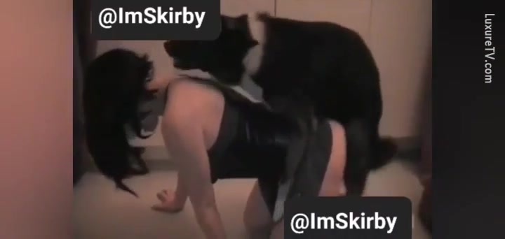 Skirby Dog Video Porn Is Hot Viral