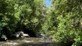 Rae.on.the.road Nude Showing Off Her Hot Body